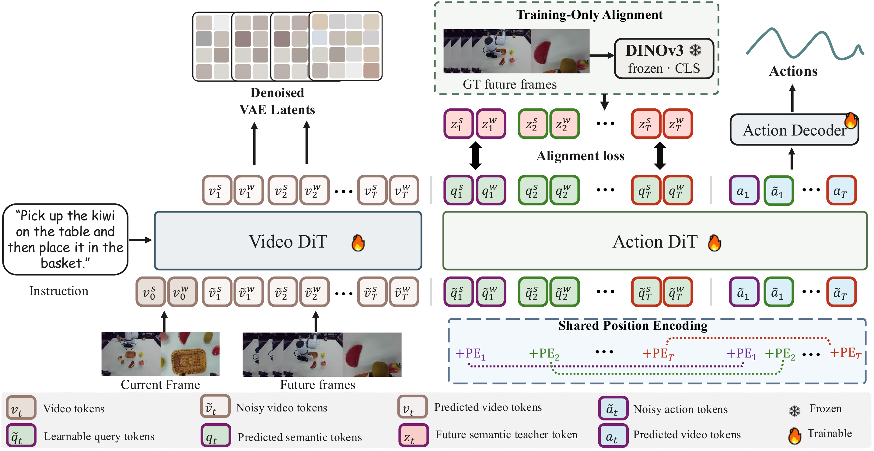 Robust-WAM architecture with a Video DiT, an Action DiT, learnable query tokens, and training-only DINOv3 alignment.